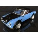 The Rally Legends 124 Abarth Rally 4WD 1 /10 Rc RTR Blue Black