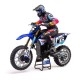 Losi Pro Moto MX 1 /4 Brushless Rc Cross Motorcycle RTR Blue No Batt