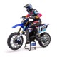 Losi ProMoto MX 1 /4 Brushless Rc Cross Motorcycle RTR Blue No Batt