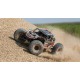 Losi Rock Rey 1: 10 Scale Rock Racer Brushless BND