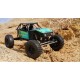 Axial Capra 1 .9 RTR 1/ 10 with DIG Green 