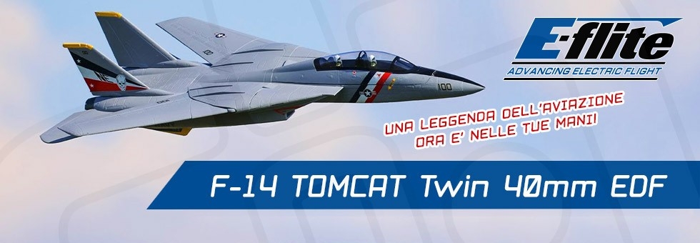 E-Flite F-14 Tomcat BNF
