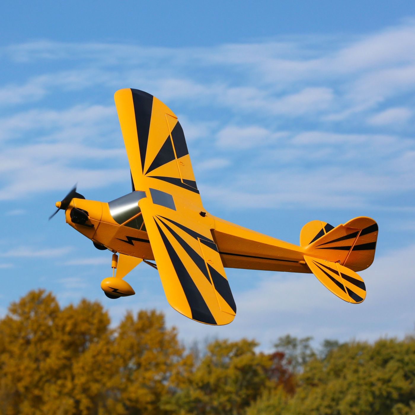E-flite Cub Clipped Wing BNF Basic Safe AS3X 05